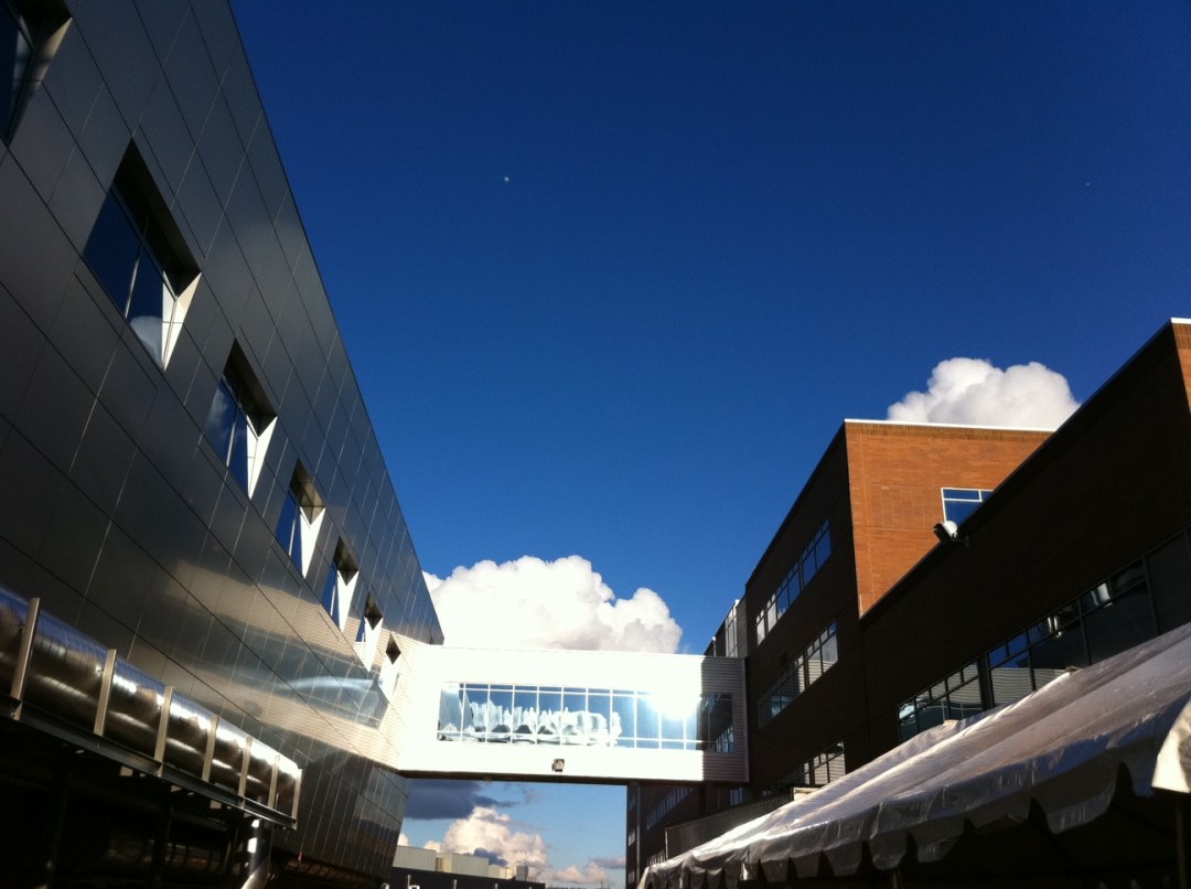 Image posted by MobyPicture.com