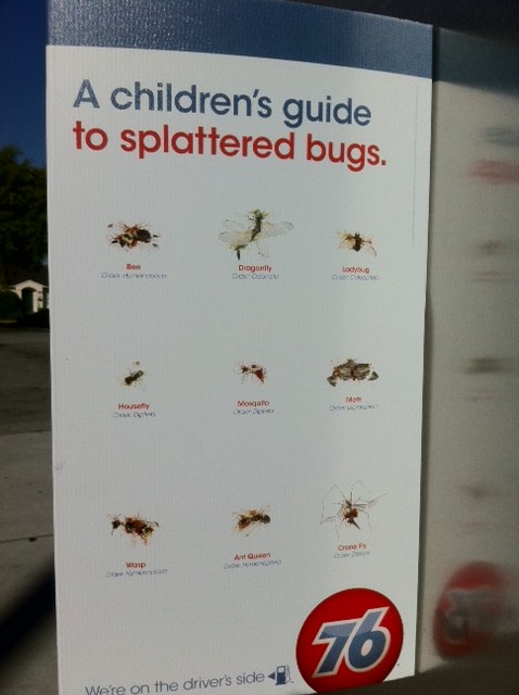 Image posted by MobyPicture.com