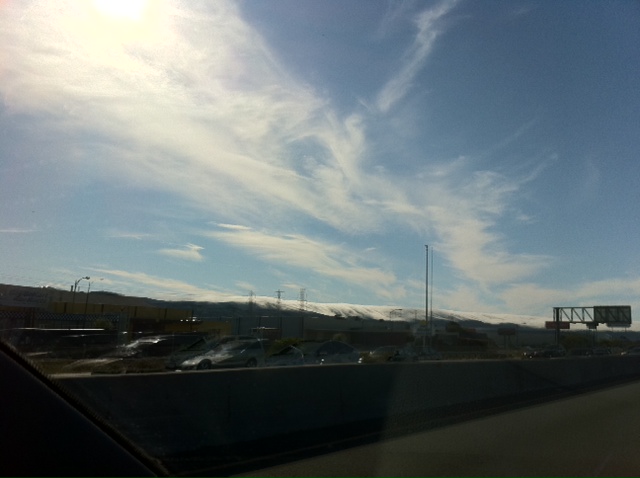 Image posted by MobyPicture.com