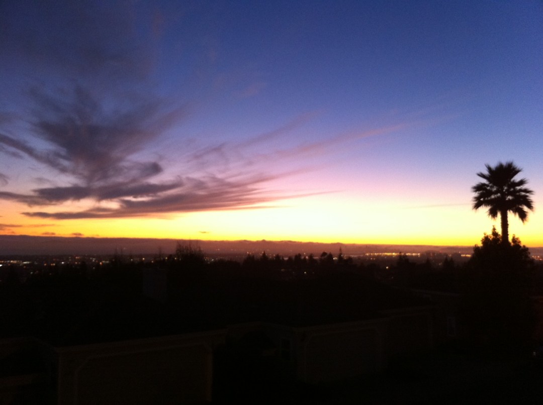 Image posted by MobyPicture.com